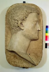 I. Cosimo de